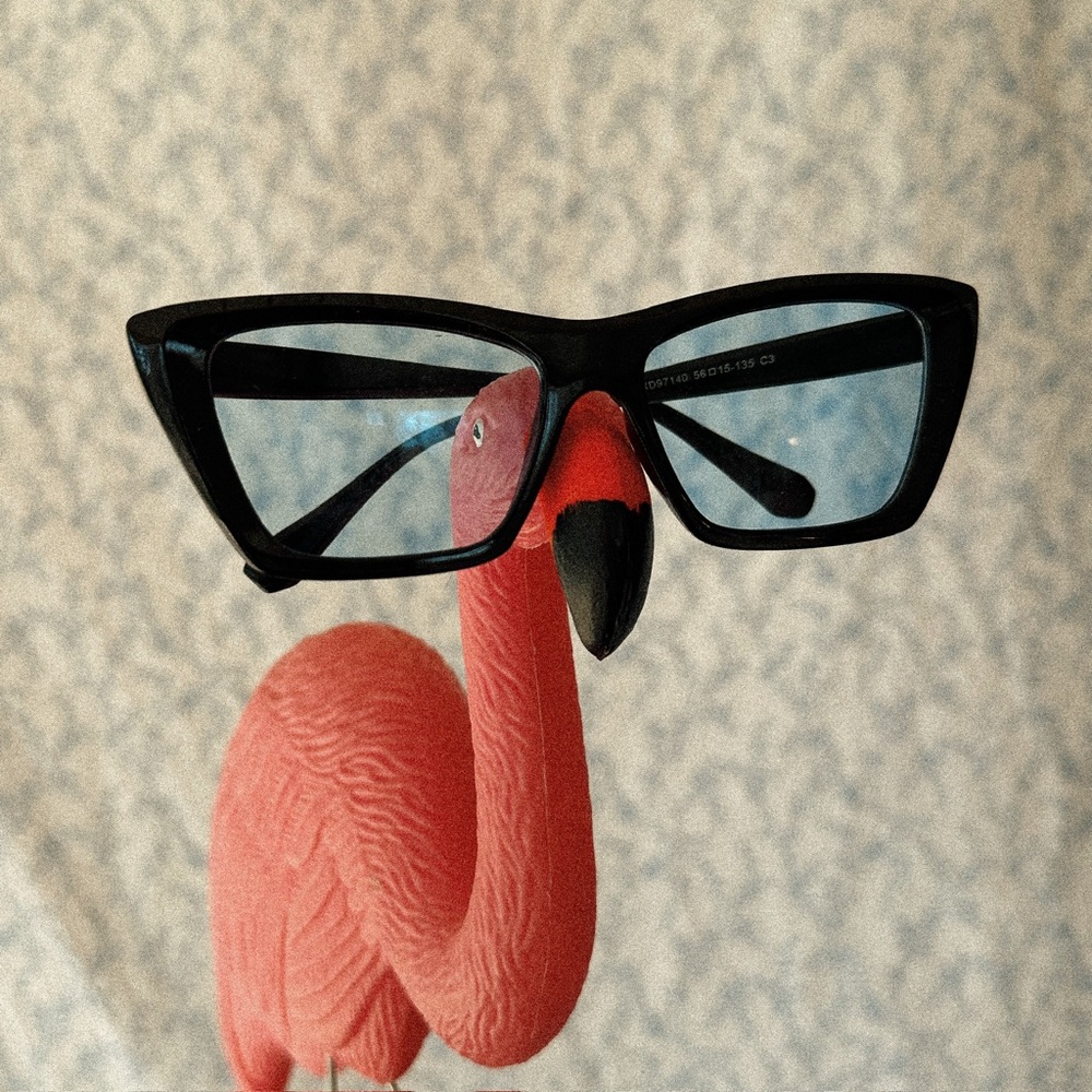 Black Cat Eye Sunglasses